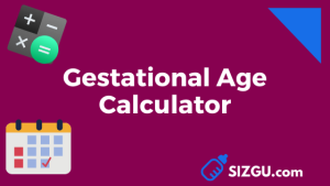 Gestational Age Calculator